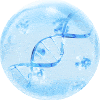 【定制化】方案