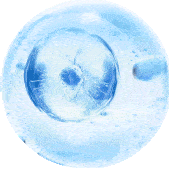 【持续监测】干预