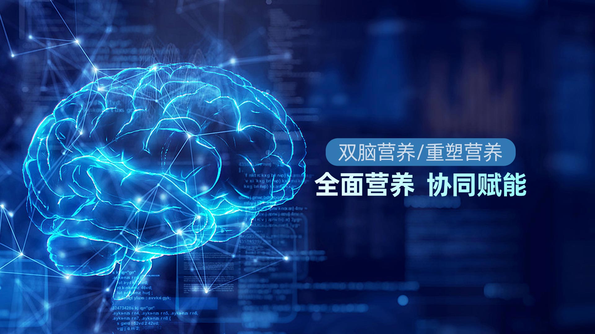 双脑营养/重塑营养全面营养协同赋能