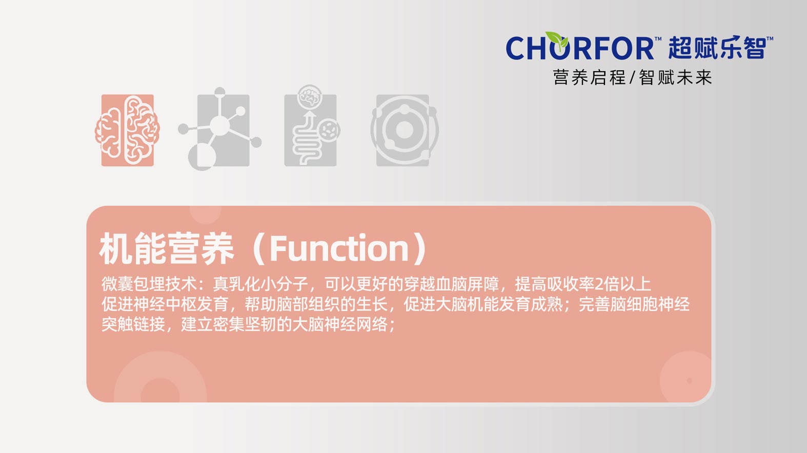 机能营养