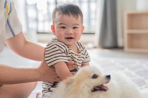 超赋乐智营养辅食1